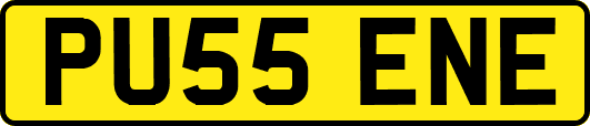 PU55ENE