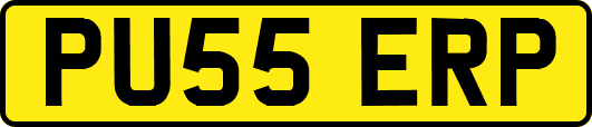 PU55ERP