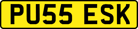 PU55ESK