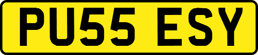 PU55ESY