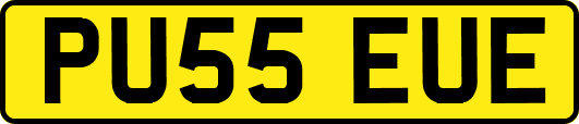 PU55EUE