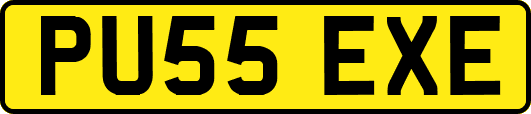 PU55EXE