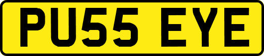 PU55EYE