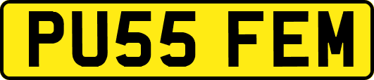 PU55FEM