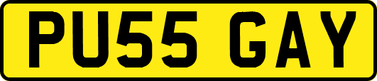 PU55GAY