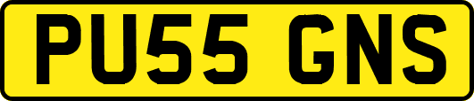 PU55GNS