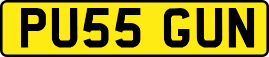PU55GUN