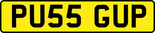 PU55GUP