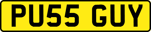 PU55GUY