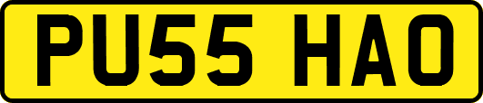 PU55HAO