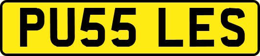 PU55LES