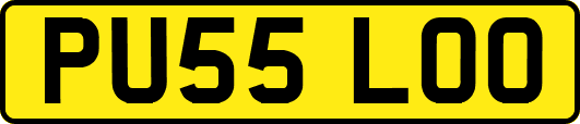 PU55LOO