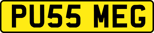 PU55MEG