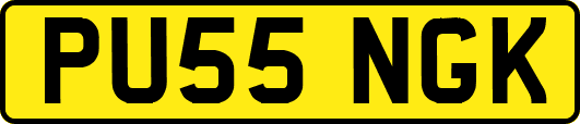 PU55NGK