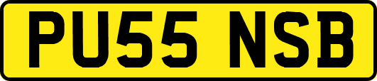 PU55NSB
