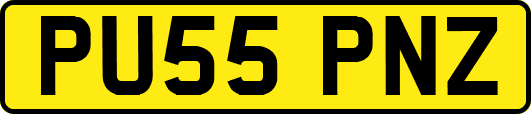 PU55PNZ