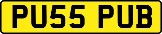 PU55PUB