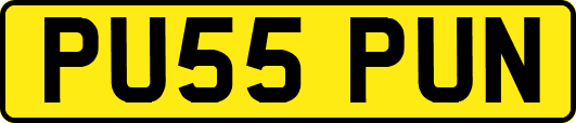 PU55PUN