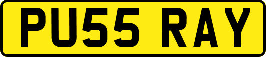 PU55RAY