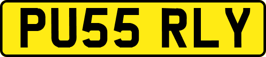 PU55RLY