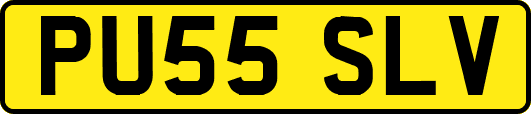 PU55SLV