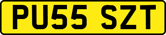 PU55SZT