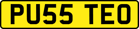 PU55TEO