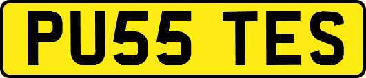 PU55TES
