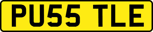 PU55TLE
