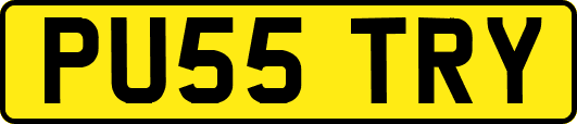 PU55TRY