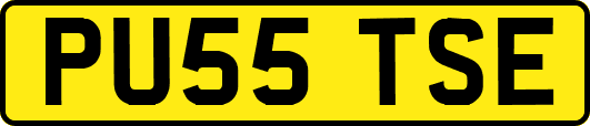 PU55TSE