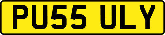 PU55ULY