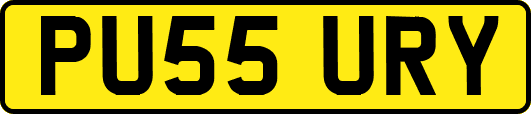 PU55URY