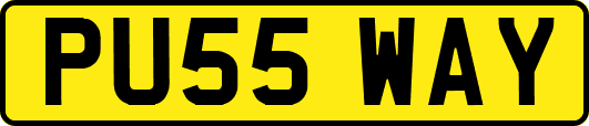 PU55WAY