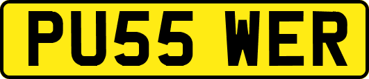 PU55WER