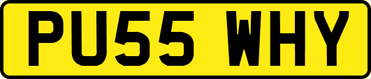 PU55WHY