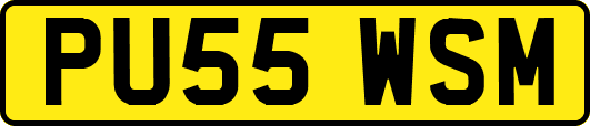PU55WSM