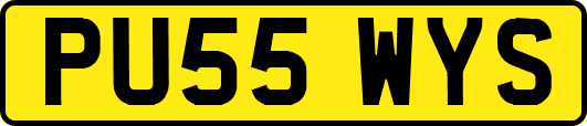 PU55WYS