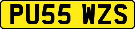 PU55WZS