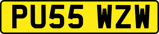 PU55WZW
