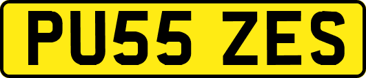 PU55ZES