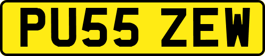PU55ZEW