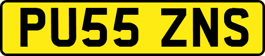 PU55ZNS