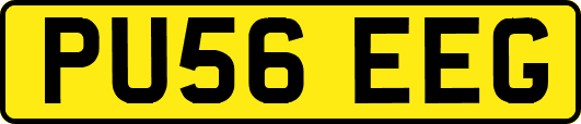 PU56EEG