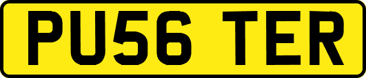 PU56TER