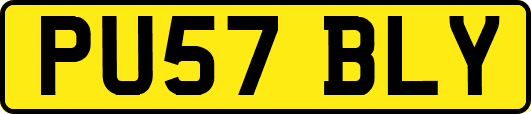 PU57BLY
