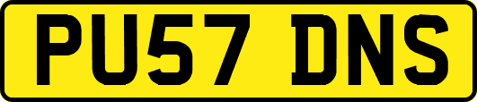 PU57DNS