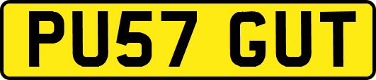 PU57GUT
