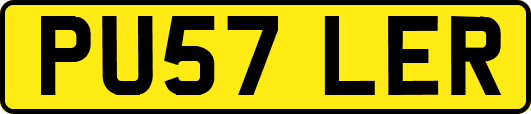 PU57LER