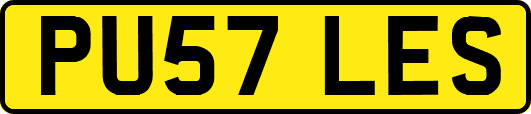 PU57LES